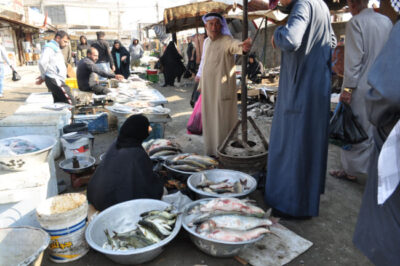 バスラのフィッシュマーケット