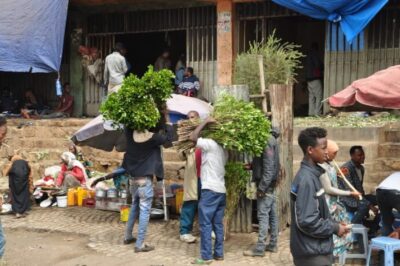 エチオピア最大のカートマーケット_アワダイ